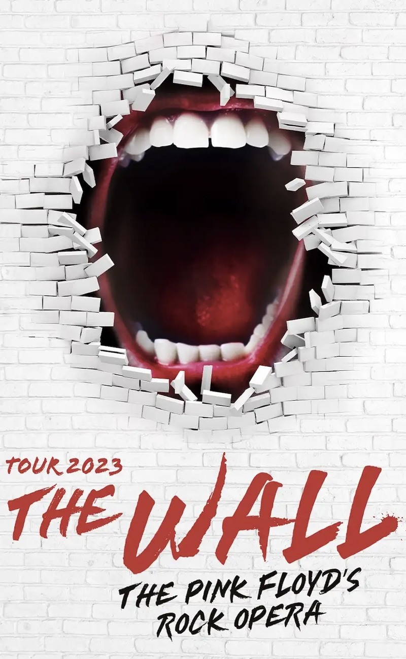 AFFICHE THE WALL
