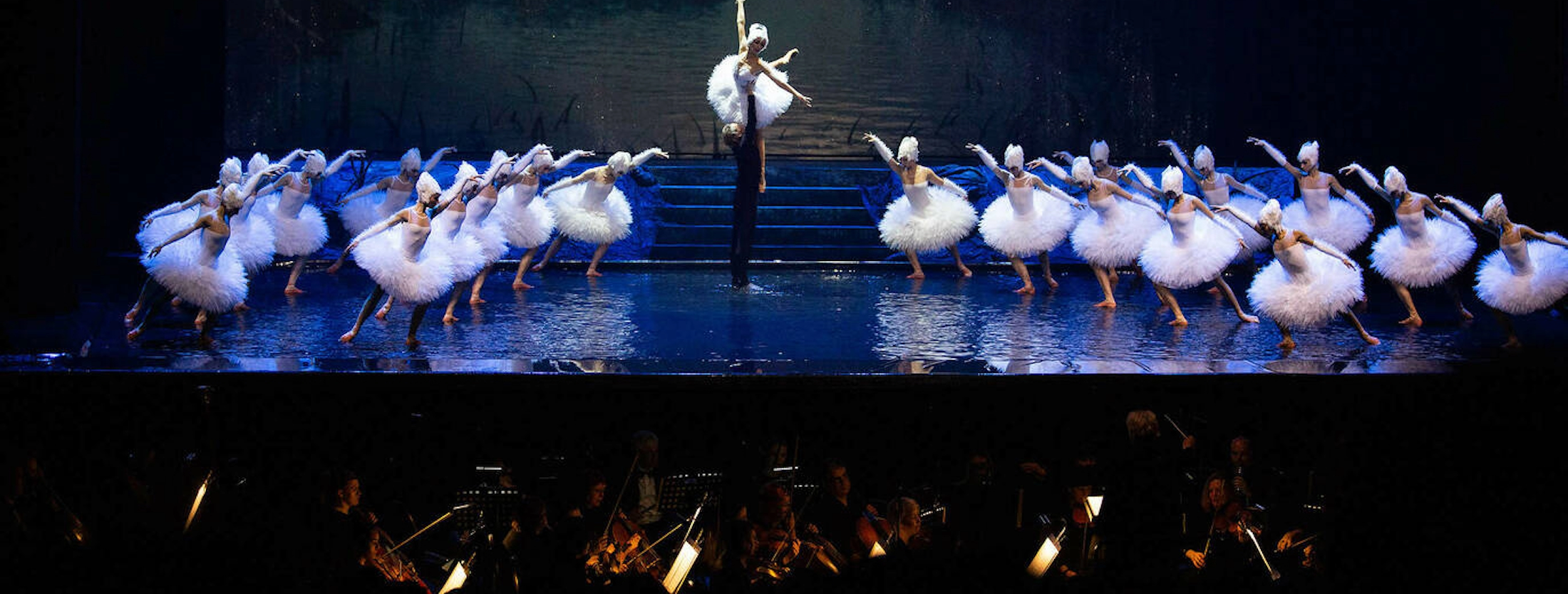 NOÉ LA FORCE DE VIVRE