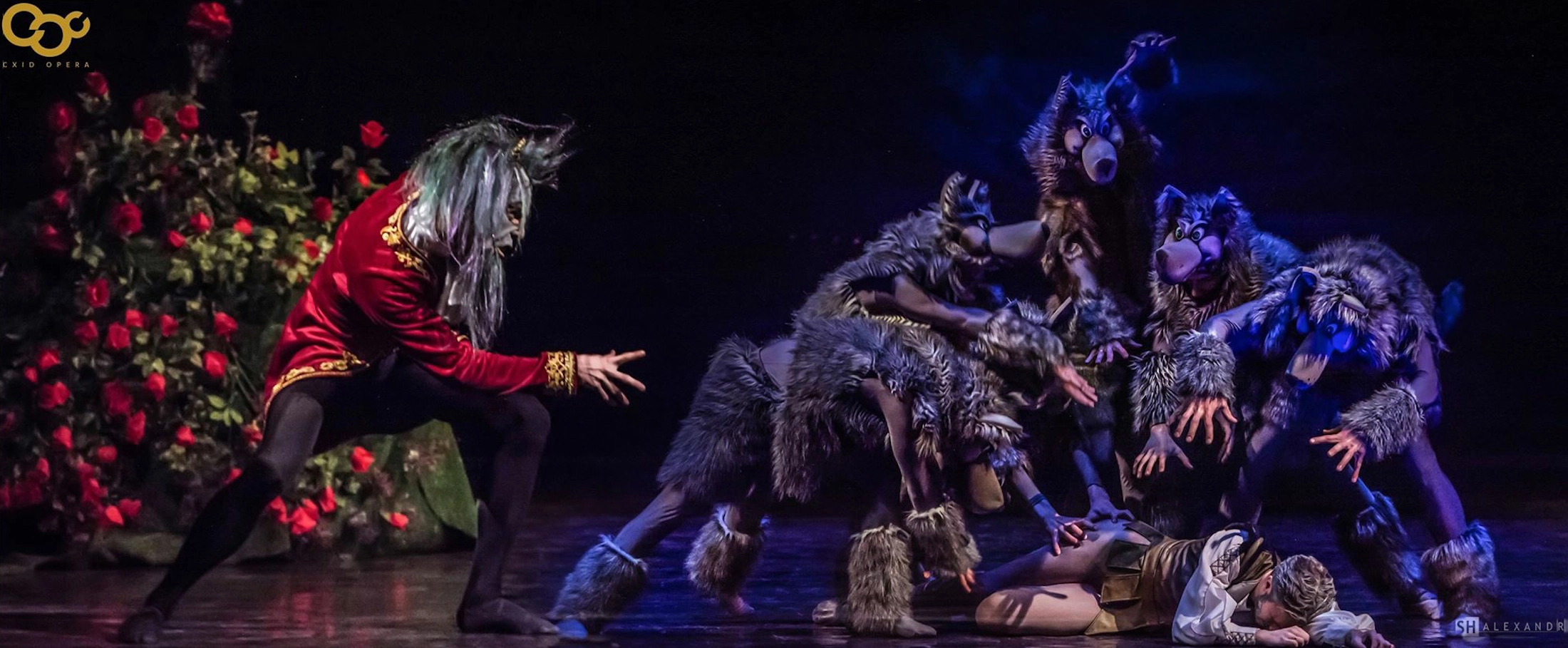 NOÉ LA FORCE DE VIVRE