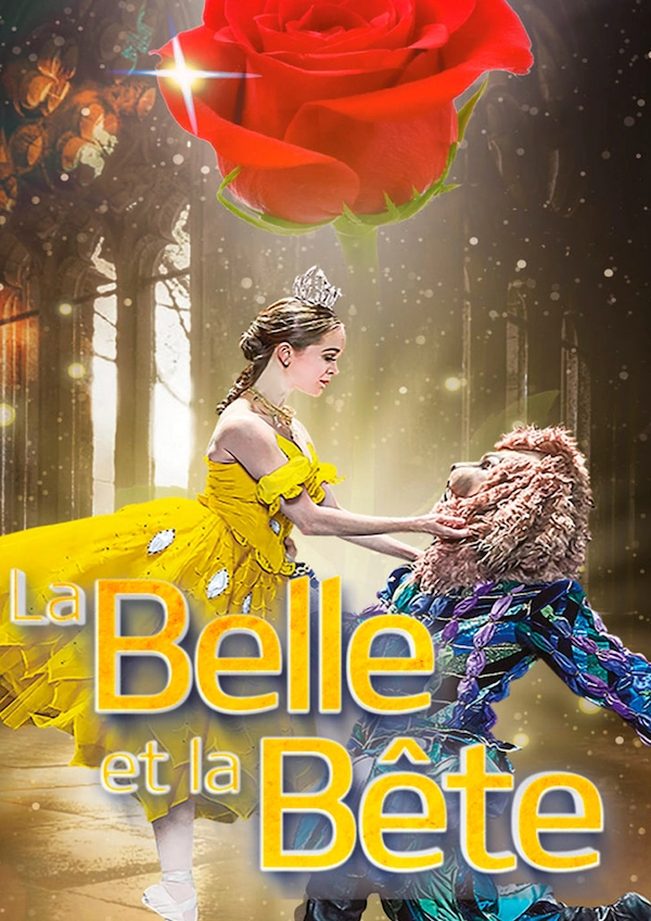 AFFICHE la belle et la belle-Johan Nus